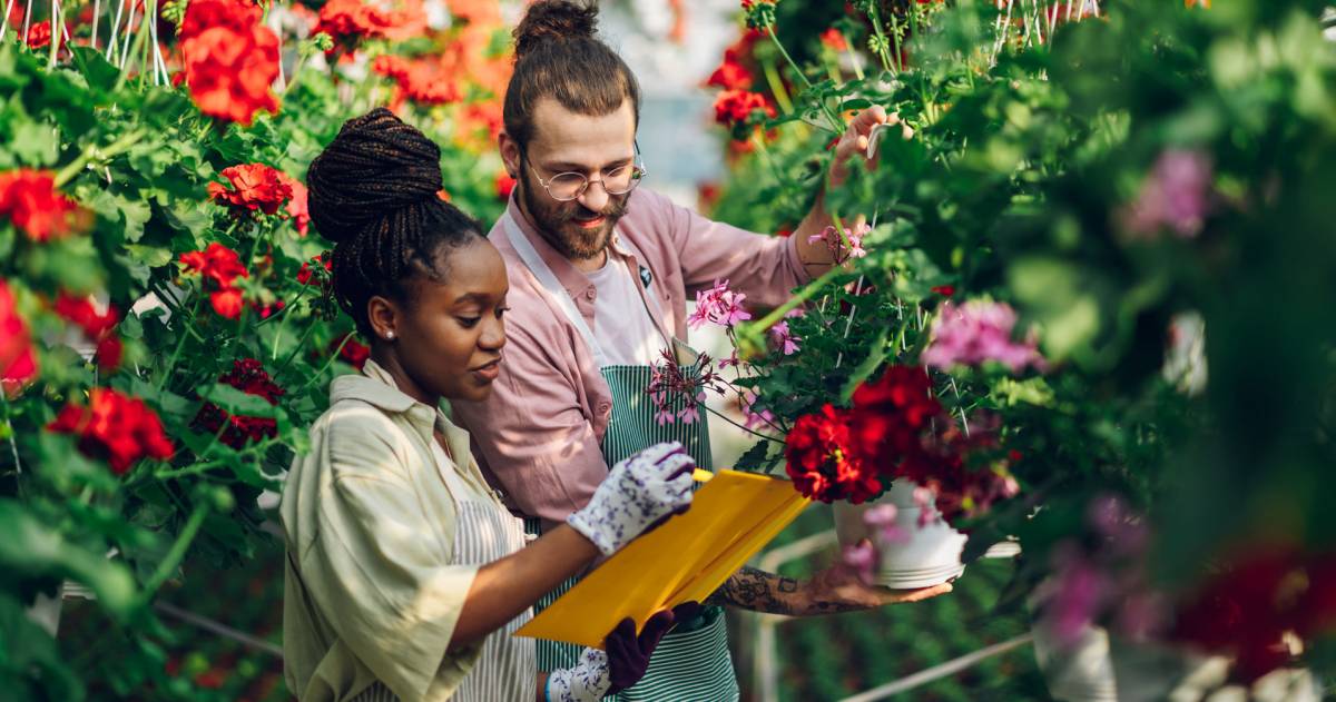 Een gelukkig stel werkt samen in de kassen waar mooie bloemen groeien